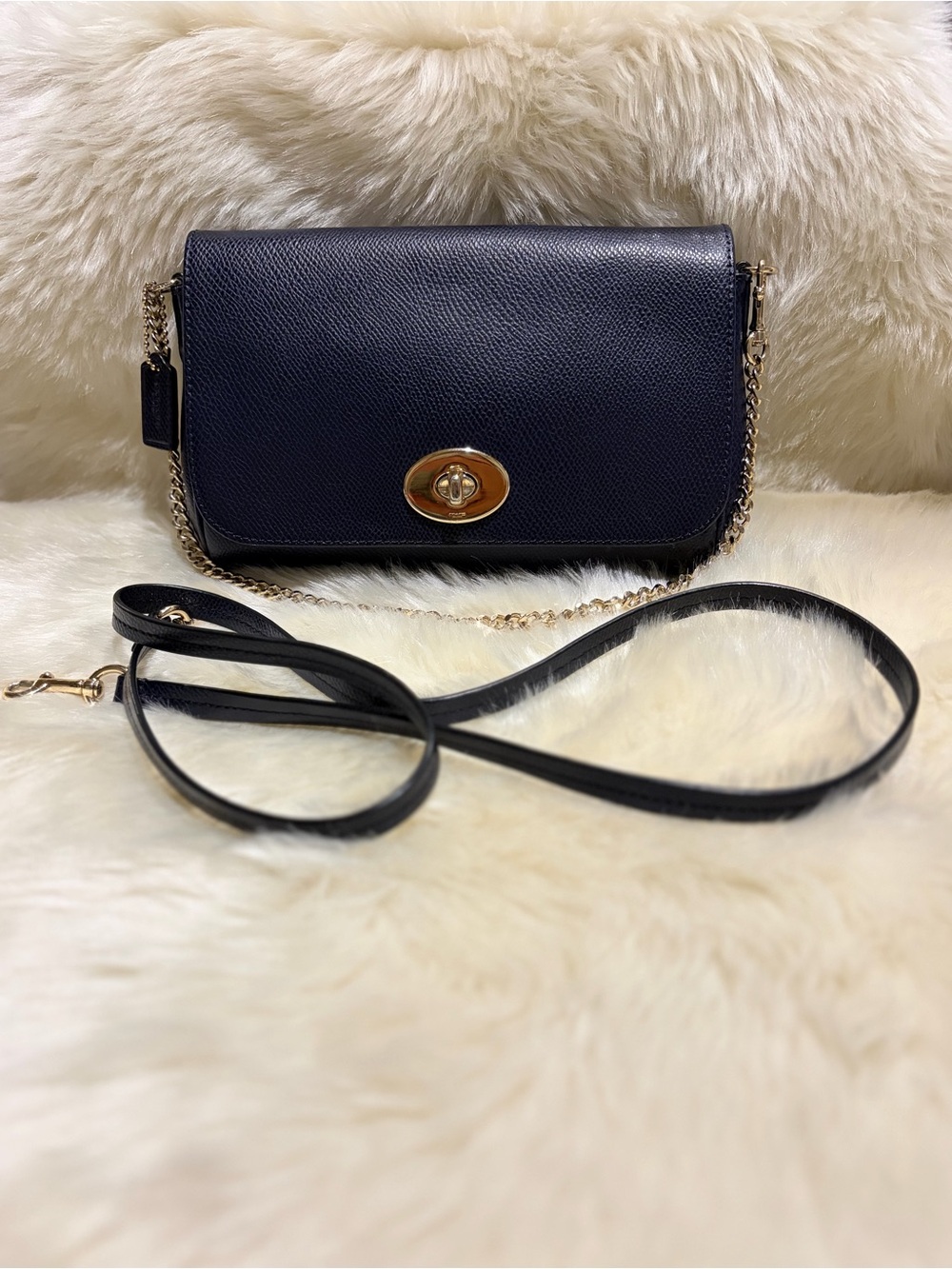 Coach Mini Ruby Crossbody bag (Style F34604)